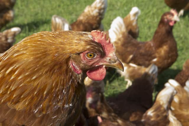 The rules around food imports from January 1 remain unclear