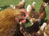 The rules around food imports from January 1 remain unclear