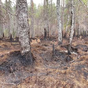The Park Authority is setting out three potential options regarding fire management byelaws