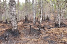 The Park Authority is setting out three potential options regarding fire management byelaws