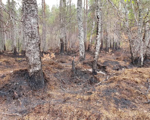 The Park Authority is setting out three potential options regarding fire management byelaws