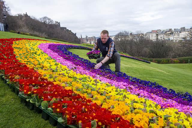 Beechgrove Garden presenter Brian Cunningham at the unveiling of the floral rainbow on The Mound in Edinburgh earlier this week.
COVID 19, CORONA VIRUS - A display of hope and encouragement by the Scottish Horticultural Industry.
DRAFT Press release …. Embargoed until 23rd March 2021.
A display of hope and encouragement by the Scottish Horticultural Industry. A 20m floral rainbow on The Mound, Edinburgh Old Town
A 20m floral rainbow on The Mound, Edinburgh Old Town
Message: A vision of hope… with spring just around the corner, now is the time to get out for some fresh air, exercise, and positive “head space” in your garden. Improve your health and wellbeing in your green space. The floral Rainbow is an initiative by the Scottish Industry as the nation reflects on the past and looks forward to a more positive future.
This a Scottish initiative by Scottish growers on behalf of the Scottish Horticultural Industry, for the people of Scotland… let’s get out and garden:
1. Health and Wellbeing: Gardening brings well documented and significant benefits to mental health and well-being. People want and need access to garden plants and products as they make plans for the season. Last year nearly 90,000 more people took up gardening in Scotland as a way to keep busy, stay healthy and stay at home. We are increasingly realising how important gardens and plants are to people’s mental health and physical wellbeing.
3. Safe Trading environment: Garden centres are spacious, well ventilated with large outdoor areas. They have enhanced Safe Trading Protocols written by the Horticultural Trades Association to ensure shoppers and staff are always kept safe. To further support this, garden centres will implement “Shop & Go” style visits. YouGov Polls show consumers have the highest confidence in garden centres as safe environments to shop.
6. Contribution to Scotland The Scottish orn
