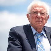 US Senator Bernie Sanders, Independent of Vermont. Picture: Saul Loeb/AFP via Getty Images