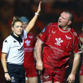 Hollie Davidson took charge of the Scarlets v Cheetahs European Challenge Cup match in January. (Photo by Michael Steele/Getty Images)