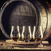 Making whisky sustainable and resilient: discover what’s changing to make the industry carbon neutral - Stock Image