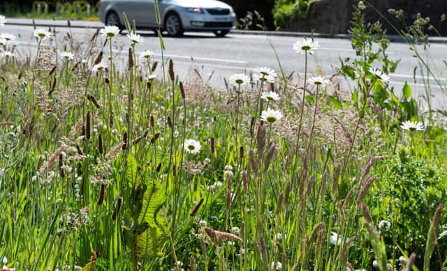 Seasonal verge grass-cutting begins in Aberdeenshire.