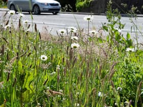 Seasonal verge grass-cutting begins in Aberdeenshire.
