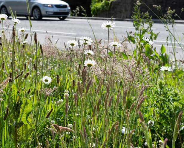 Seasonal verge grass-cutting begins in Aberdeenshire.