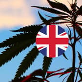 What is the CBD Oil UK Law?