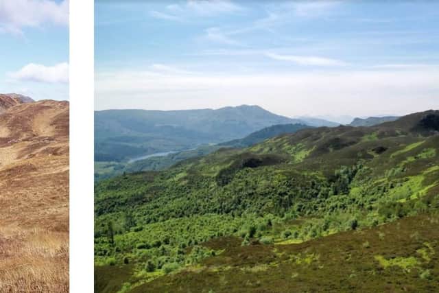 These images show what Glen Finglas estate, once a heavily grazed hill farm, looked like 'before' and 'after' one million native trees were planted and extensive restoration work carried out