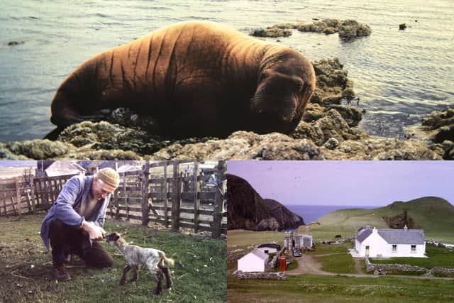 Images, including one of a walrus at Gutcher taken in the 80s, were rescued by council waste operator Paul Moar picture: Nick Dymond