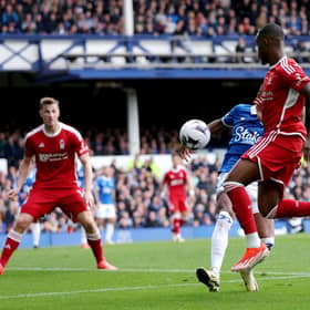 Nottingham Forest lost 2-0 to Everton in the Premier League on Sunday.