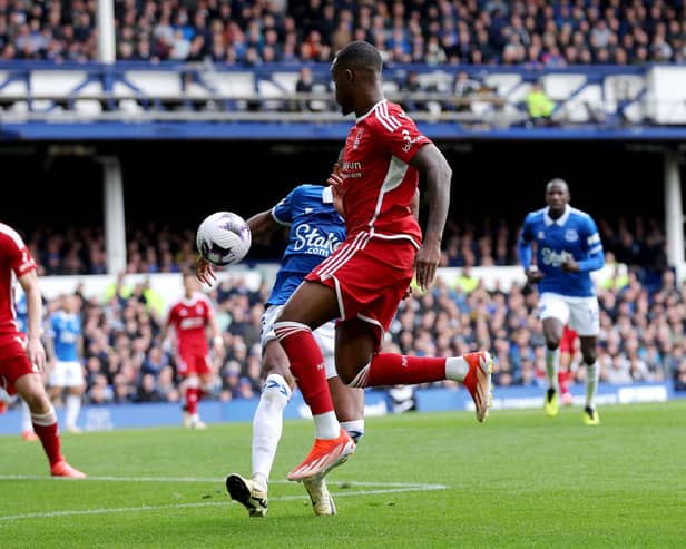 Nottingham Forest lost 2-0 to Everton in the Premier League on Sunday.