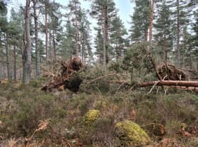 Forestry and Land Scotland (FLS) has issued a safety call to visitors heading out to woodland in the north east.