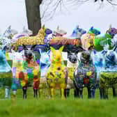 Raffle tickets with a chance to win the decorated sheep from the Flock to the Show art exhibition go on sale (pic: Ian Georgeson/RHASS)
