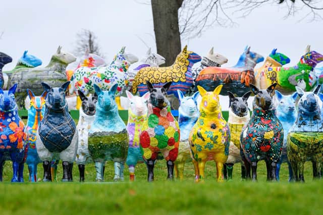 Raffle tickets with a chance to win the decorated sheep from the Flock to the Show art exhibition go on sale (pic: Ian Georgeson/RHASS)