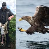 David Colthart holding up a dead lamb which he claims to have been killed by a sea eagle picture: supplied
