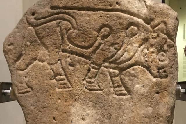 A Burghead Bull - one of around 25 stones recovered from the site at the time of its 19th Century destruction. The stones may have lined a processional route into the heart of the Pictish complex, some claim. Only six stones survive today. PIC: Creative Commons.