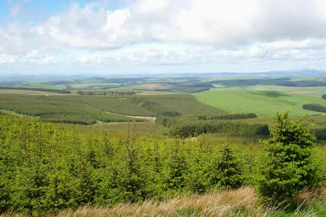 Scottish Woodlands, the Edinburgh-based forestry business majority owned by its employees, has banked higher annual sales and profits.