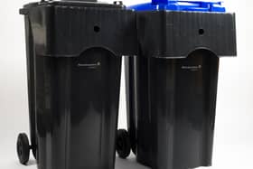 Both the grey-lidded waste and blue-lidded recycling bins diamond-lift bins are being replaced with wheeled bins