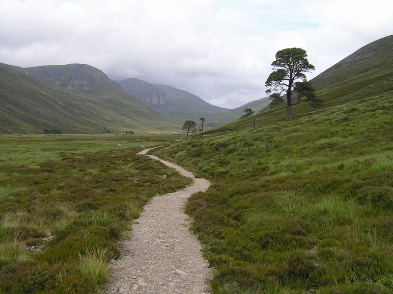 This valley is located in western Aberdeenshire, it cuts through the Cairngorm Mountains to the north of Glen Lui. The glen has been especially recommended in the post-summer months when the autumnal colours emerge beautifully.