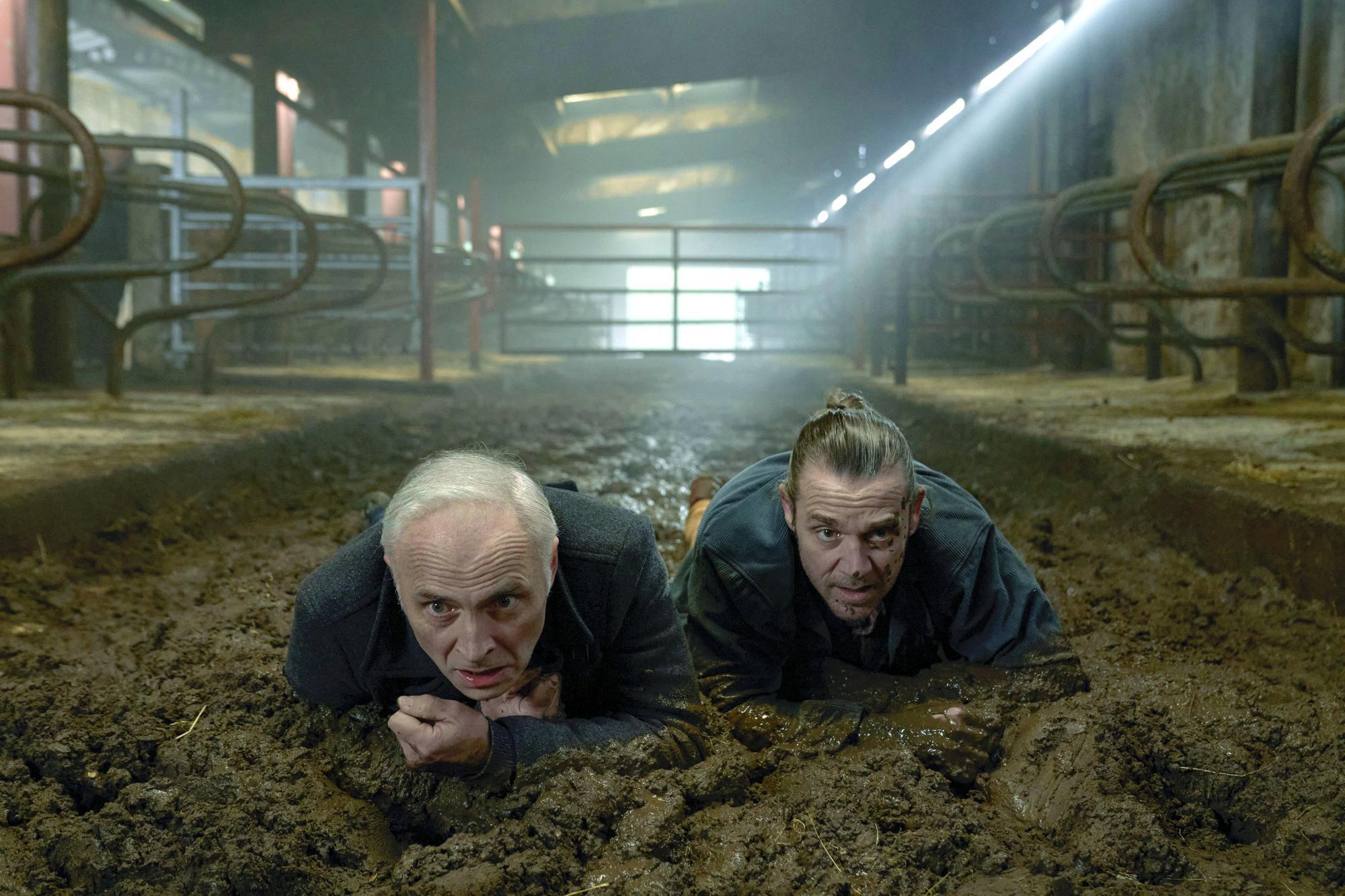 Guilt season three review: Why final season of BBC Scotland series is a culty, bonkers comedy-thriller with a cracking soundtrack - Vimarsana News