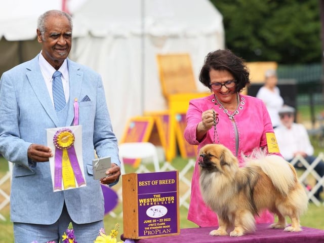 Terri Galle smiles as her Tibetan Spaniel Speaker has his photo taken after being named Best of Breed in the Toy, Terrier, and Non-Sporting dogs breed judging event.