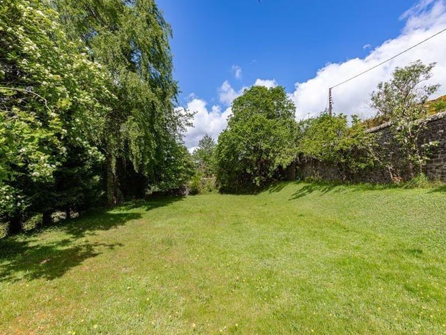 Garden.