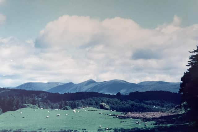 A view from Rebecca's room when she was growing up at Bark Barn, Graythwaite estate (pic: Rebecca Smith)