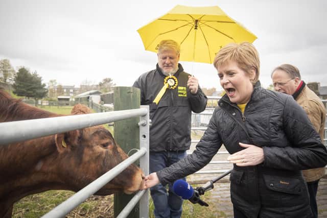 Edinburgh Central candidate Angus Robertson, pictured here campaigning this week with Nicola Sturgeon, have an interview to a German media outlet.