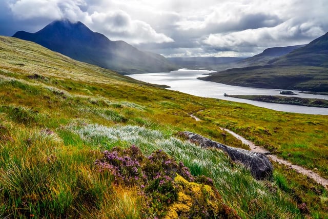 Picture: Shutterstock