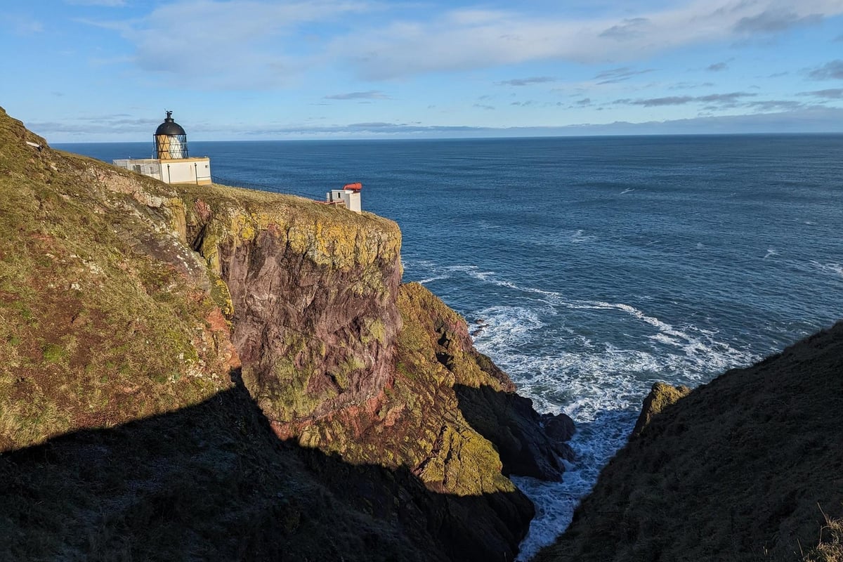 Readers' Letters: Wind farm could mean loss of Scottish bird species