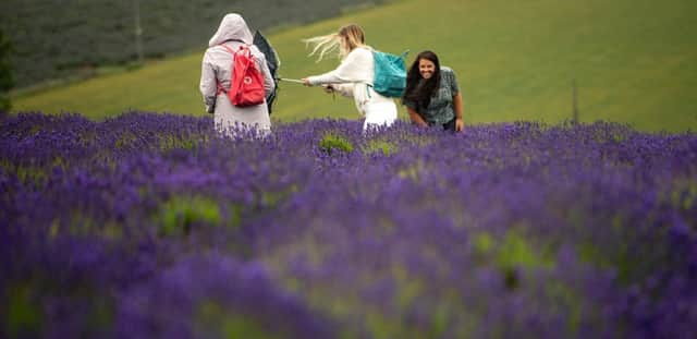 Summer sunshine and warm temperatures  will give way to a low pressure front which will bring heavy rain to Scotland this weekend with some parts to get a month's worth of rainfall in 48 hours.  Jacob King/PA Wire