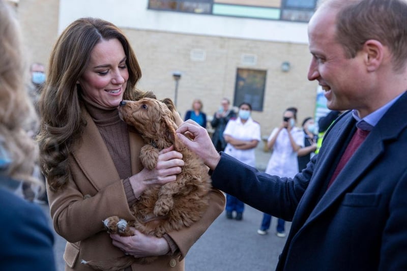 Prince William and Princess Catherine are part of a family known around the world for their love of dogs - any four-legged addition would clearly be a welcome one.