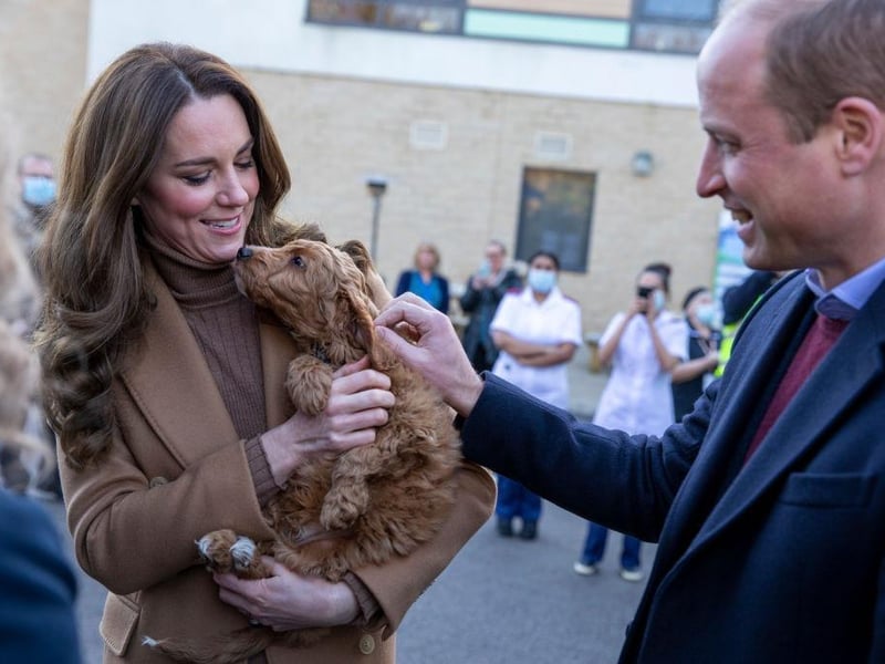 Prince William and Princess Catherine are part of a family known around the world for their love of dogs - any four-legged addition would clearly be a welcome one.