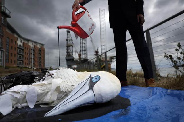 Ocean Rebellion activists say drilling at Rosebank will drive climate change and pose a grave danger to Scotland's marine environment, including protected areas and rare and important wildlife such as seabirds. Picture: Jeff J Mitchell/Getty Images