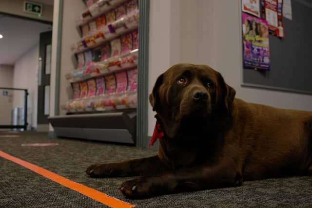 Haresh Sood was accompanied by his faithful chocolate Labrador, Pancho, for the screening in Peterhead.