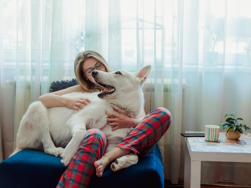 Like humans, you can tell alot about a dog by the way they make eye contact. If your dog regularly looks directly into your eyes it means that they feel you have a particularly close and loving bond.