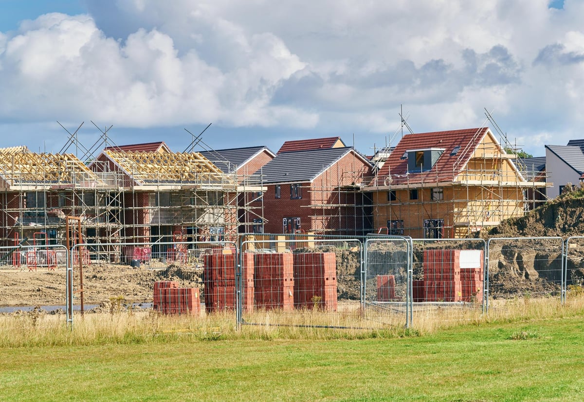 Business: Lack of ambition in addressing housing crisis - Liz Hamilton
