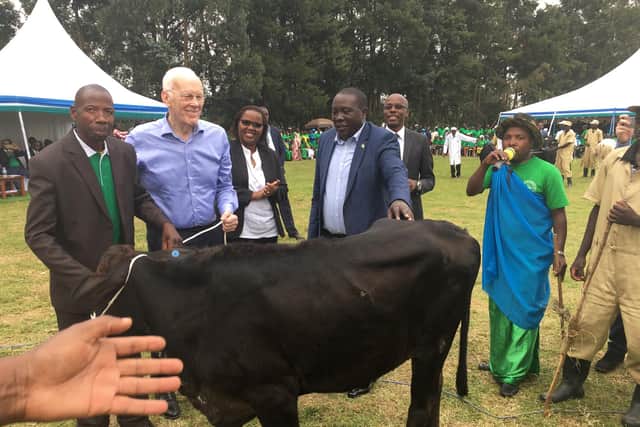 Sir Ian Wood at an awards ceremony at Mulindi in 2018, where he presented prizes to tea farmers, including this cow. PIC: A Campsie.