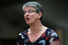 Scottish Greens MSP Maggie Chapman yesterday survived a crunch vote to keep her top job on Holyrood’s Equalities Committee after controversial comments about the Supreme Court (Picture: Jeff J Mitchell/Getty Images)