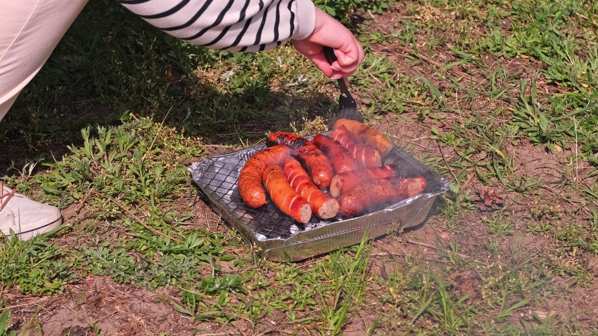 Verbot von Einweggrills nach verheerendem Waldbrand in den Cairngorms