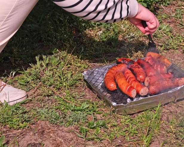 Disposable barbecues have been banned following a series of devastating wildfires.