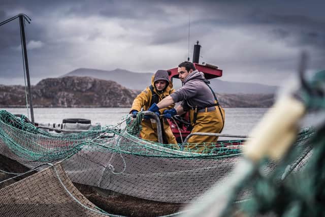 The Sutherland-based business uses small-scale farming methods. Picture: contributed.