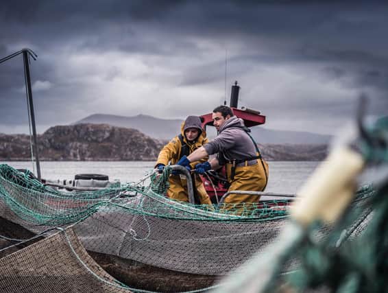 The Sutherland-based business uses small-scale farming methods. Picture: contributed.