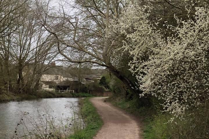 Suzanne sent in this lovely photo as she was walking alongside Chesterfield canal.