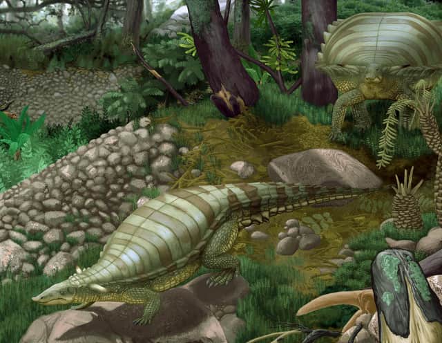 Aetosaurs roamed what is now Scotland when it was covered in lush jungle and the polar icecaps had yet to form. PIC: CC.