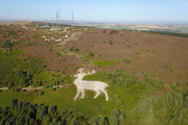 The white stag on Mormond Hill near Fraserburgh stands proud once again. PIC:  Douglas Simpson/Mormond Hill Stag Group