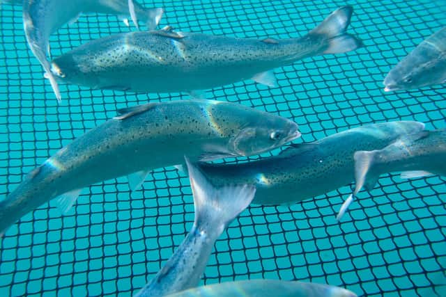 Scottish salmon accounts for international sales of more than £800m to nearly 50 countries annually.
