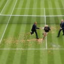 A protester is challenged by security on court 18 after a Just Stop Oil protest using orange confetti and a jigsaw puzzle during the Women's Singles first round match between Katie Boulter of Great Britain and Daria Saville of Australia.